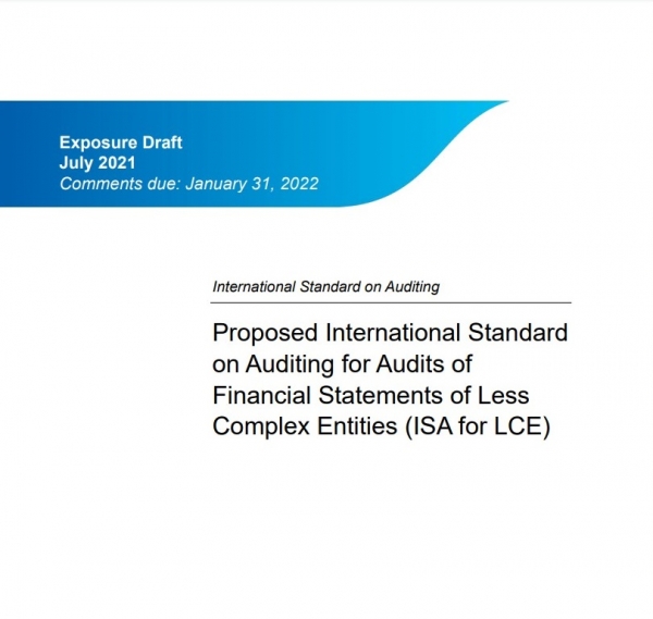 Проект Международного стандарта аудита финансовой отчетности менее сложных организаций